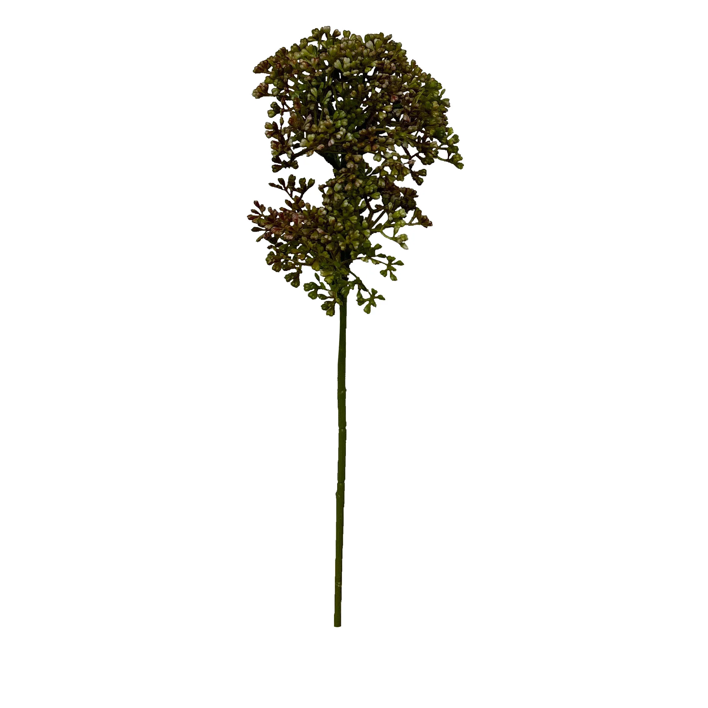 시시한 것