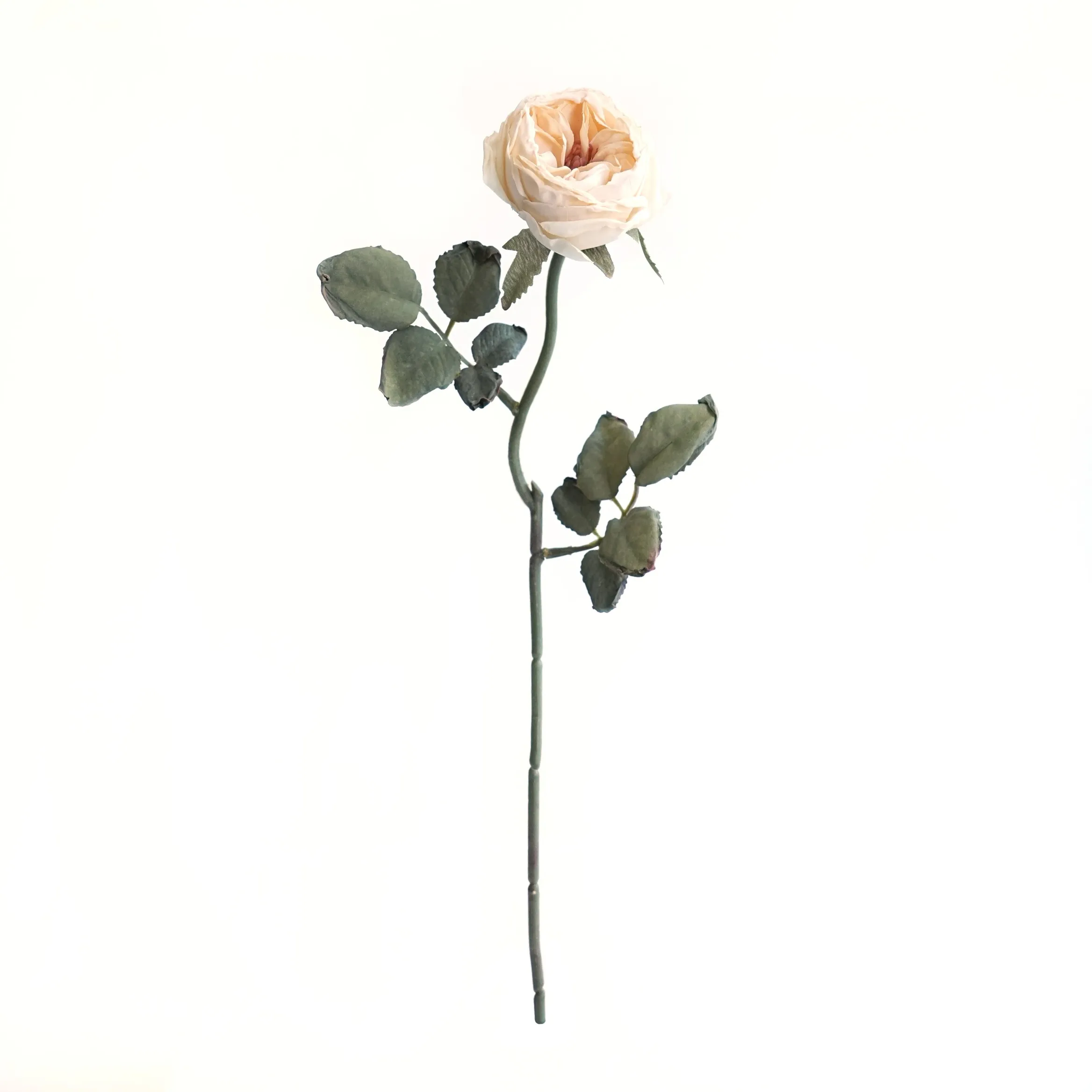 다진 싱글 Oaken