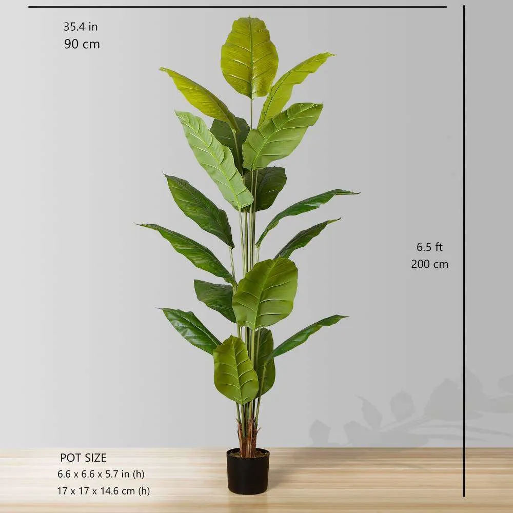 인공 Spathiphyllum 잎 화분에 식물 (다중 크기)