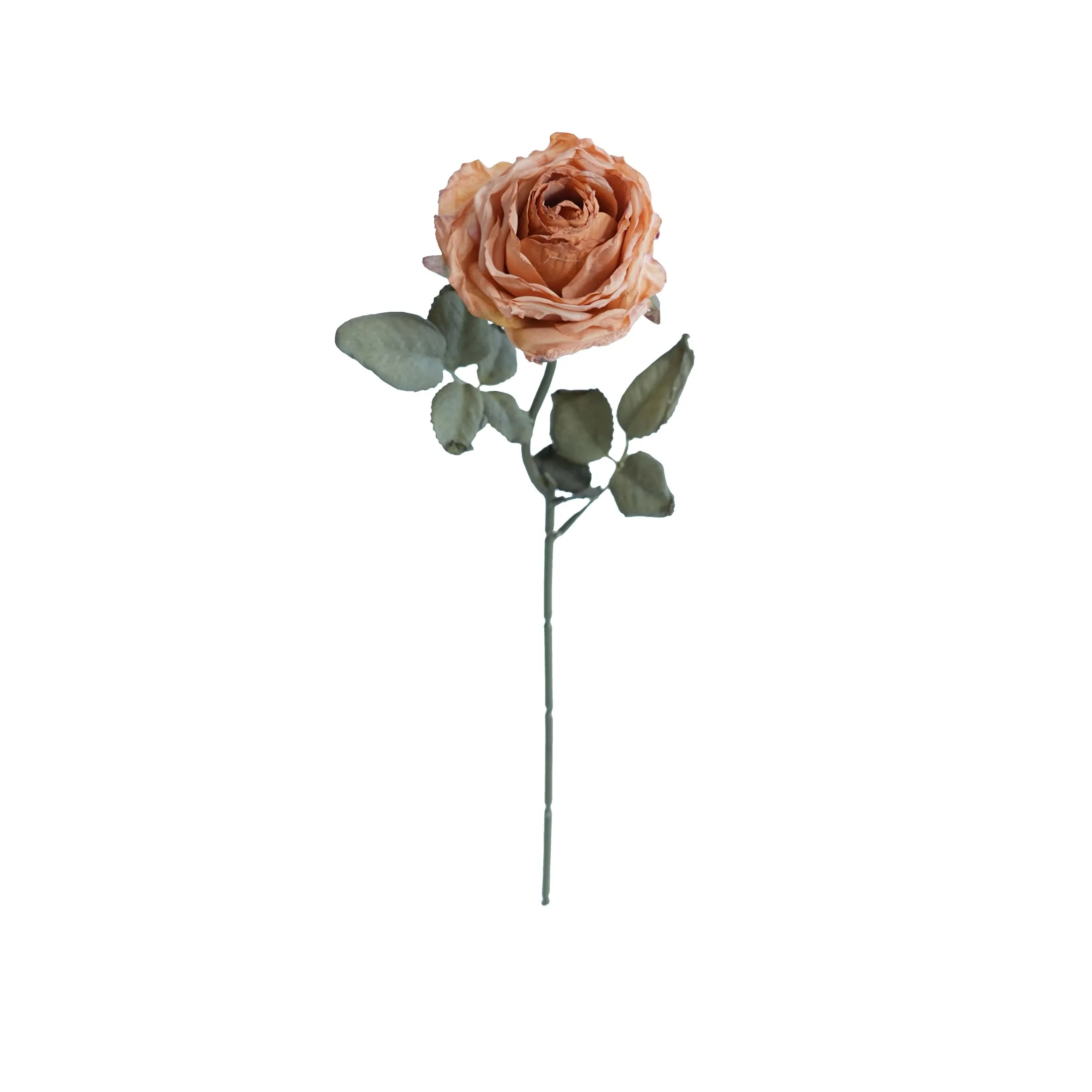 코르크로 된 다층 장미