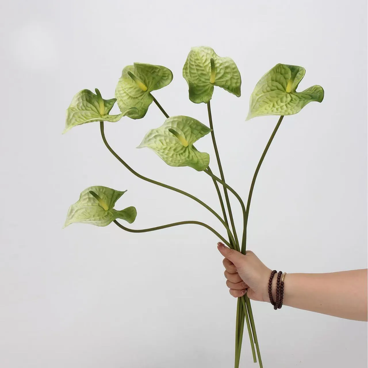anthurium palm