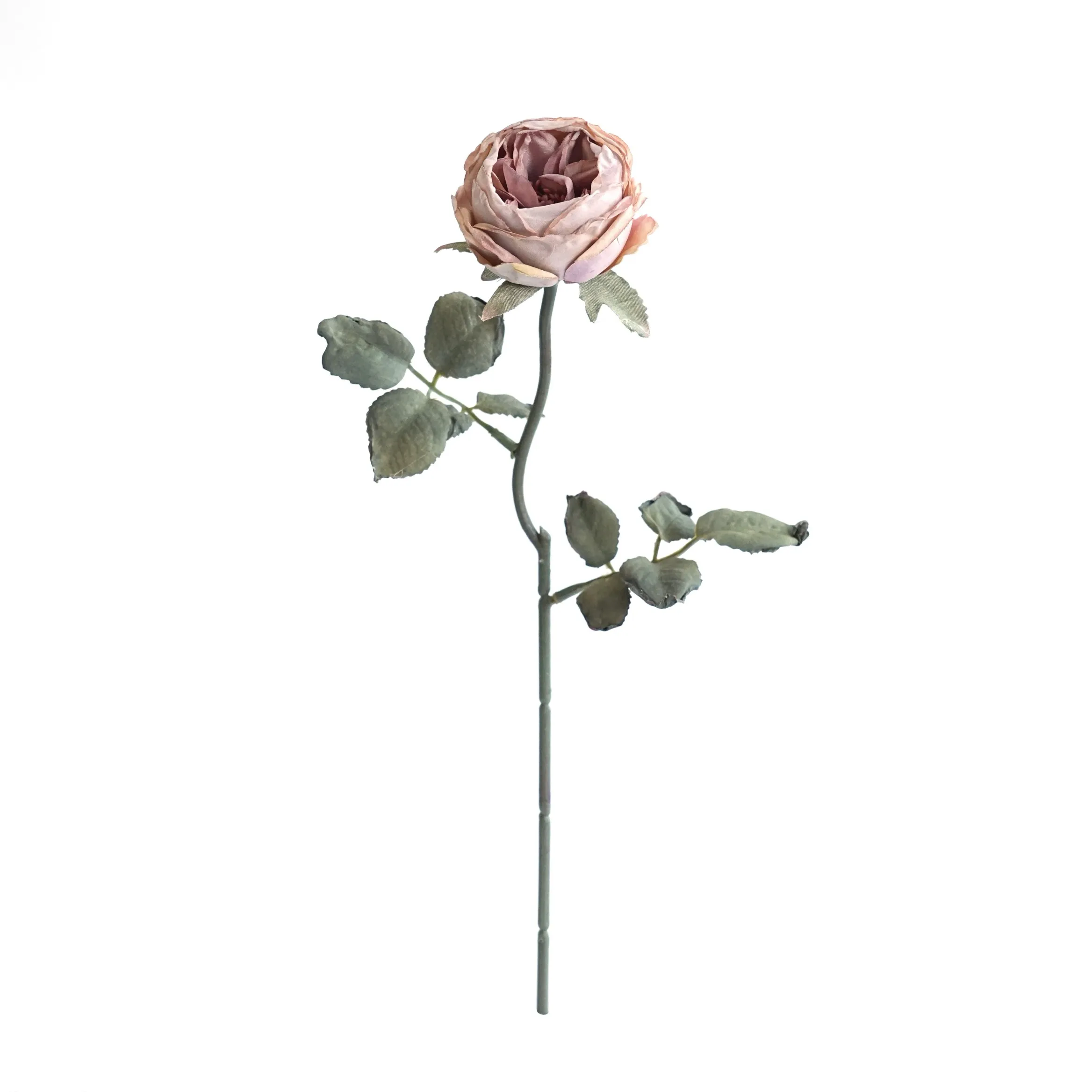 다진 싱글 Oaken