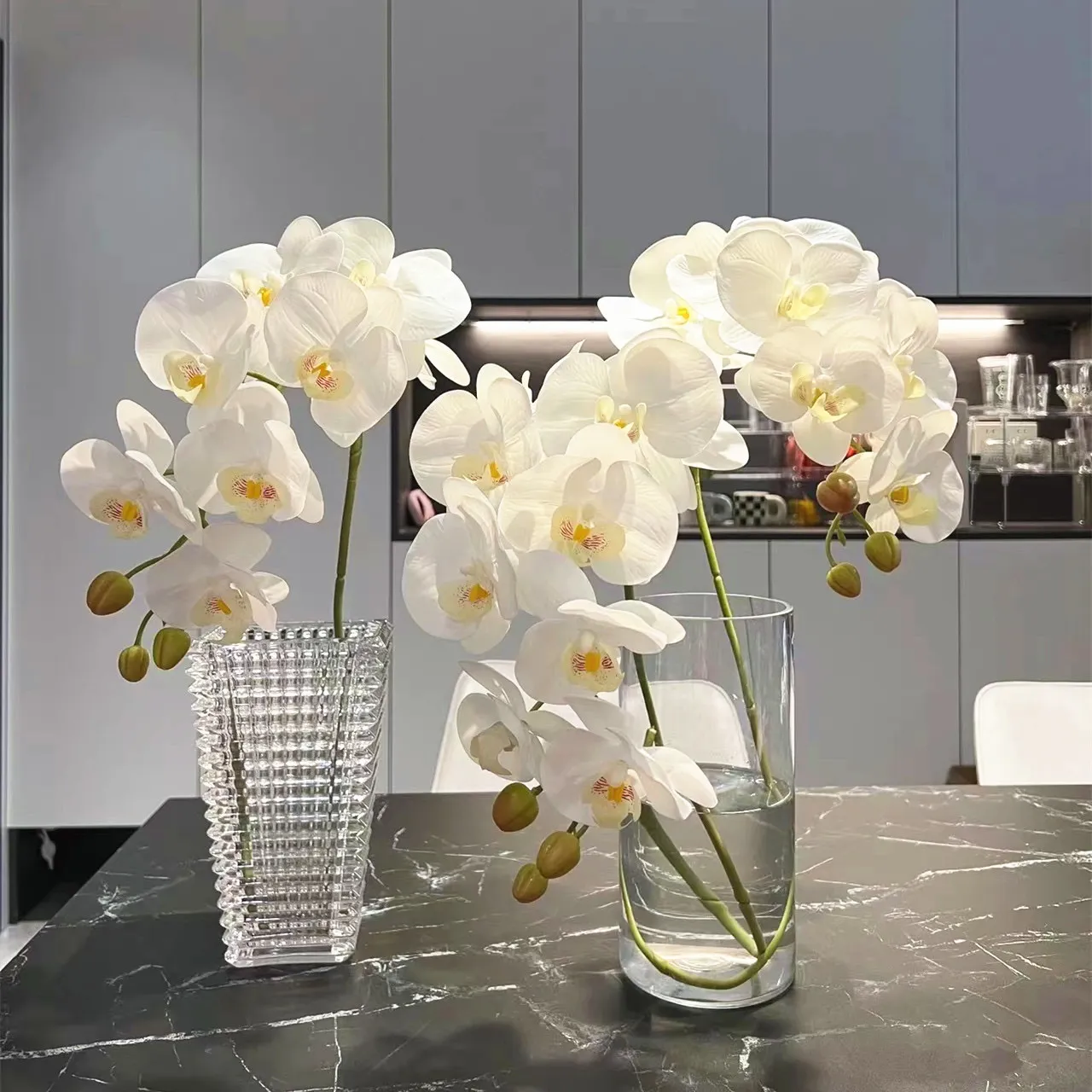 Phalaenopsis 난초
