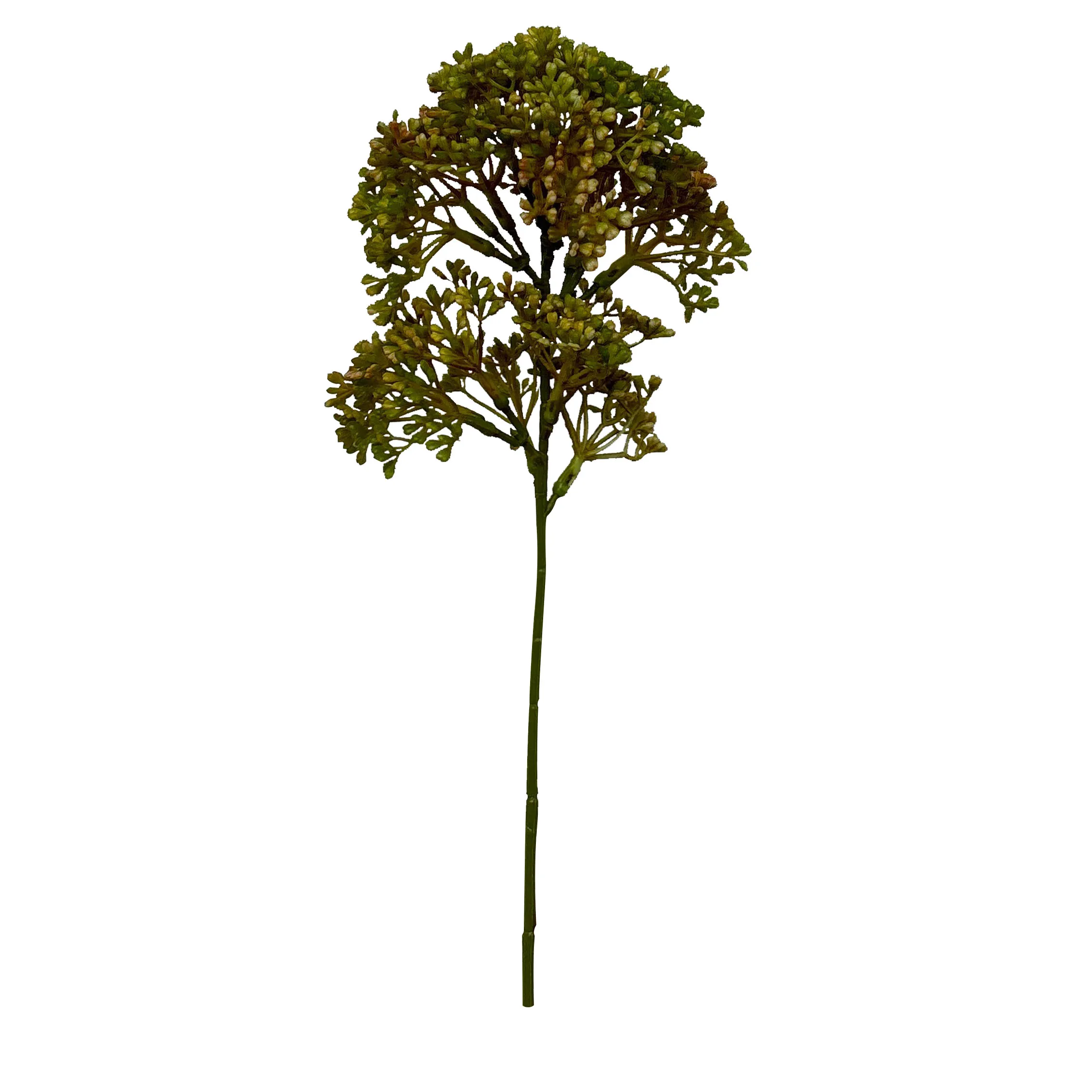 시시한 것