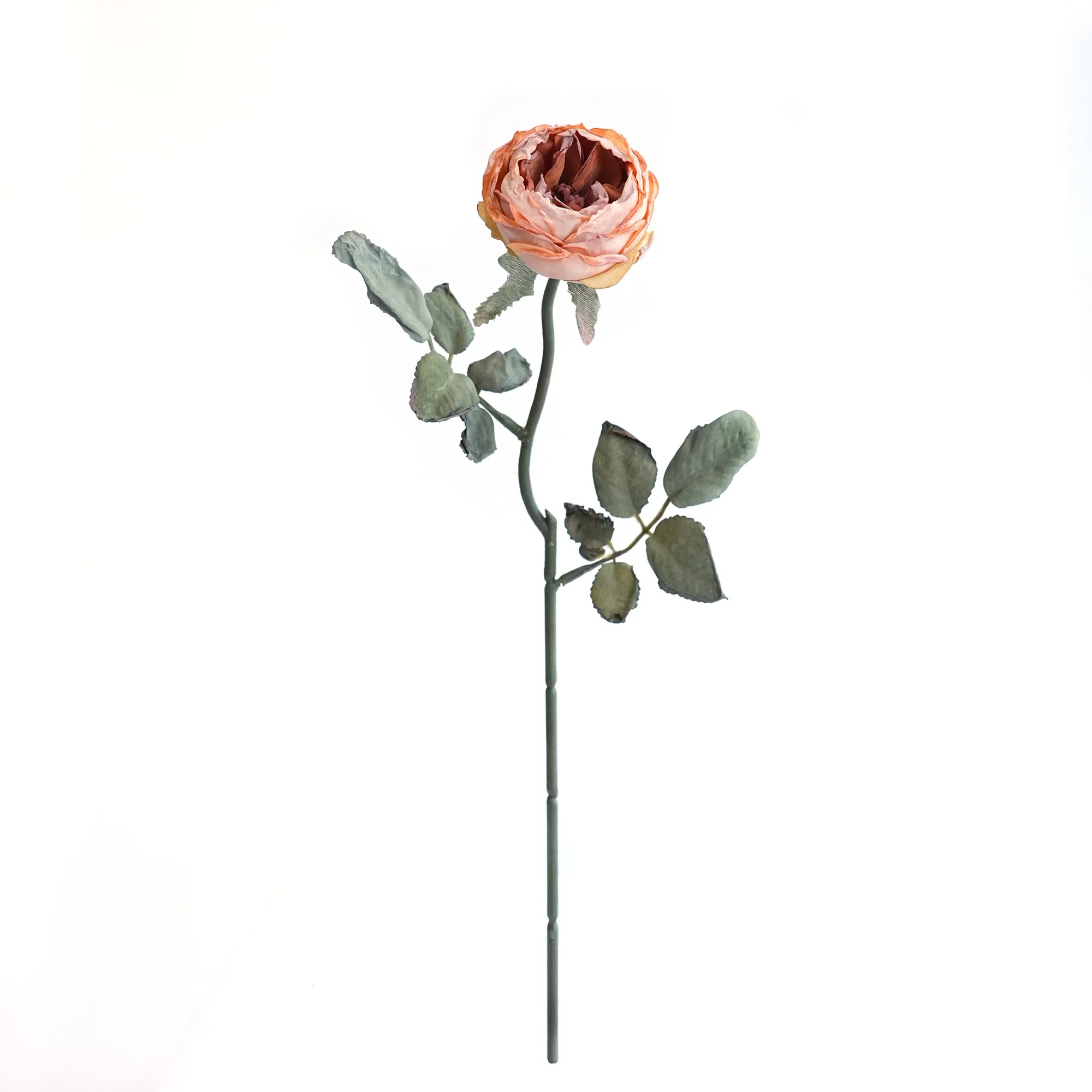 다진 싱글 Oaken
