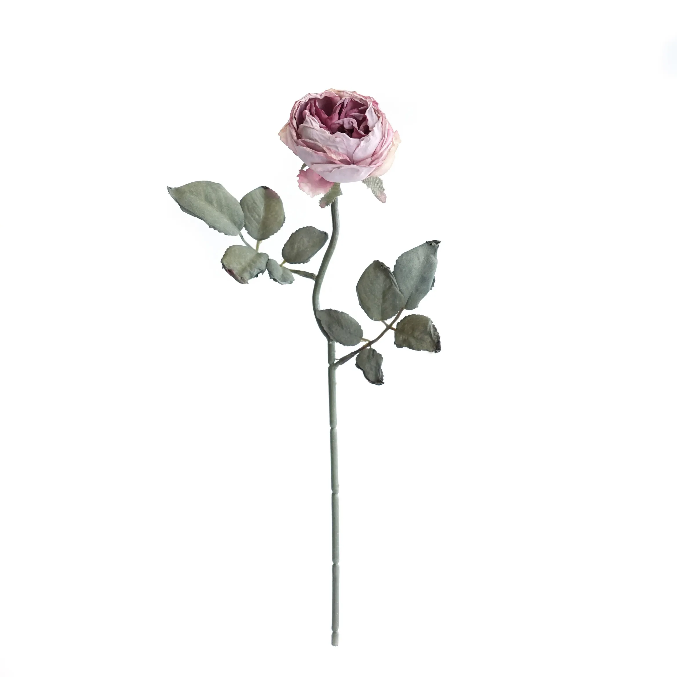다진 싱글 Oaken