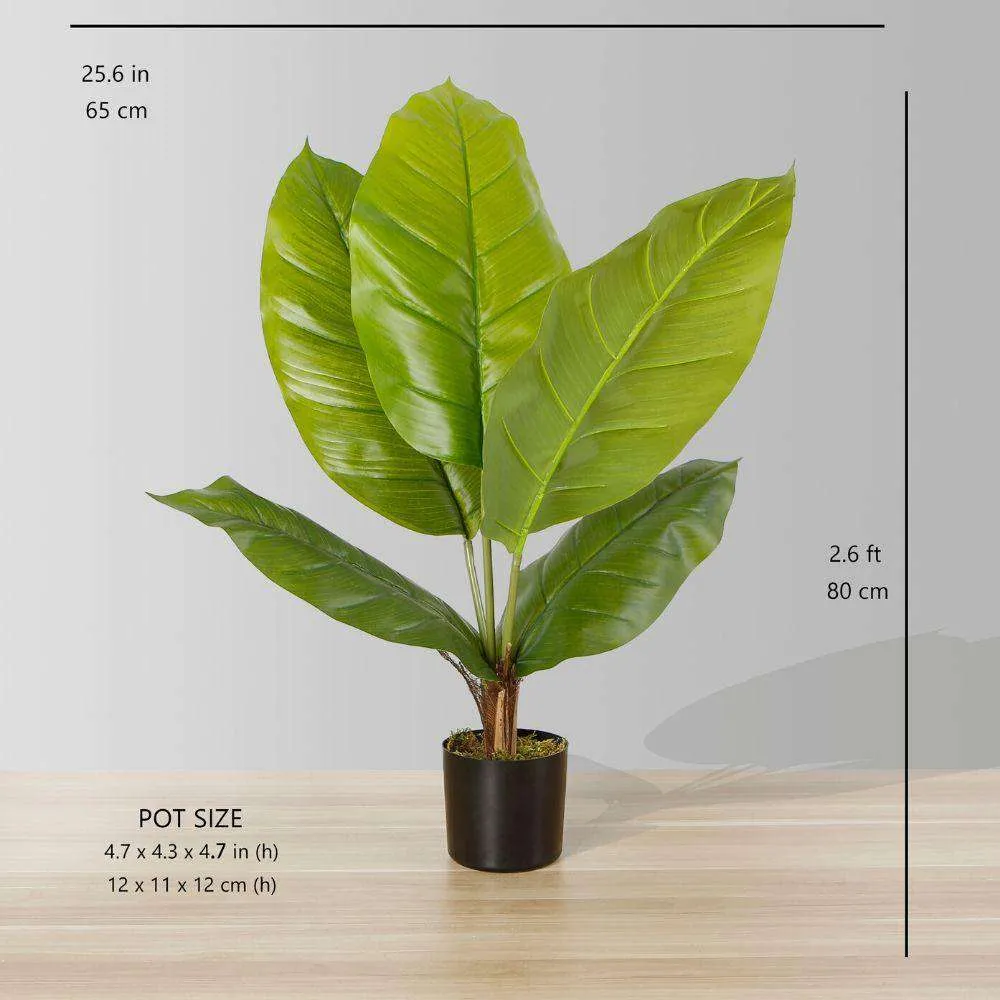 인공 Spathiphyllum 잎 화분에 식물 (다중 크기)
