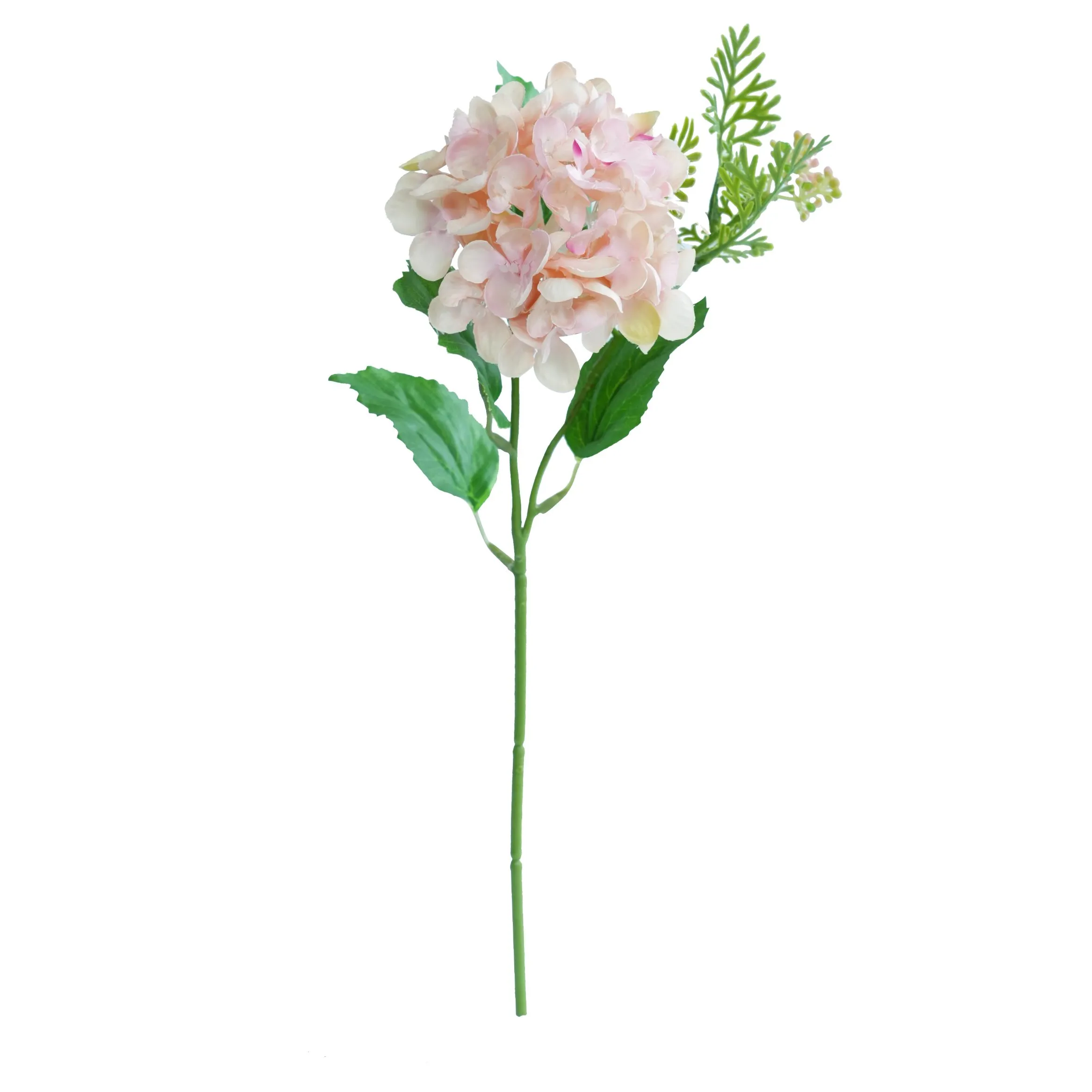Anna 자수 공