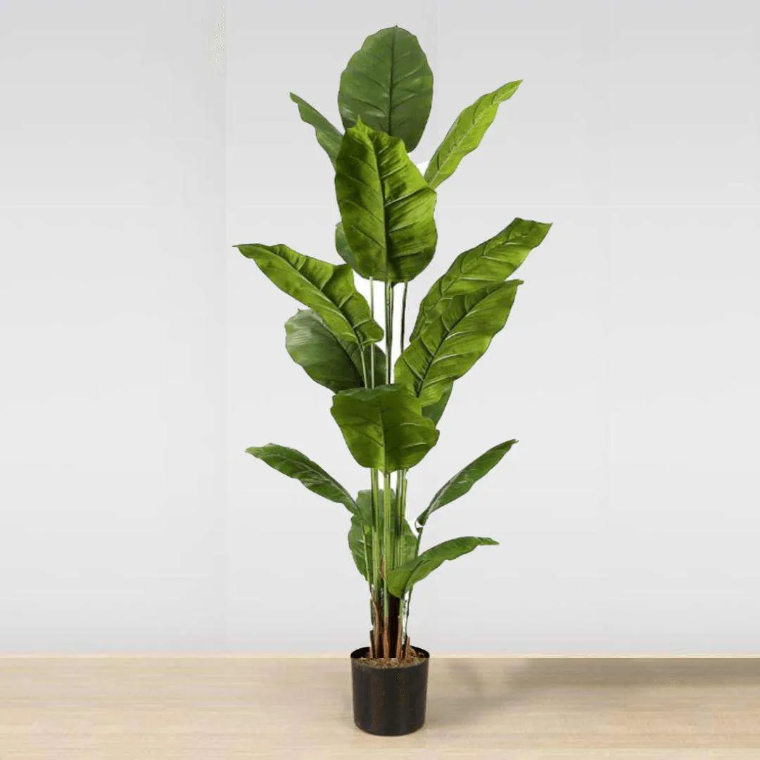 인공 Spathiphyllum 잎 화분에 식물 (다중 크기)