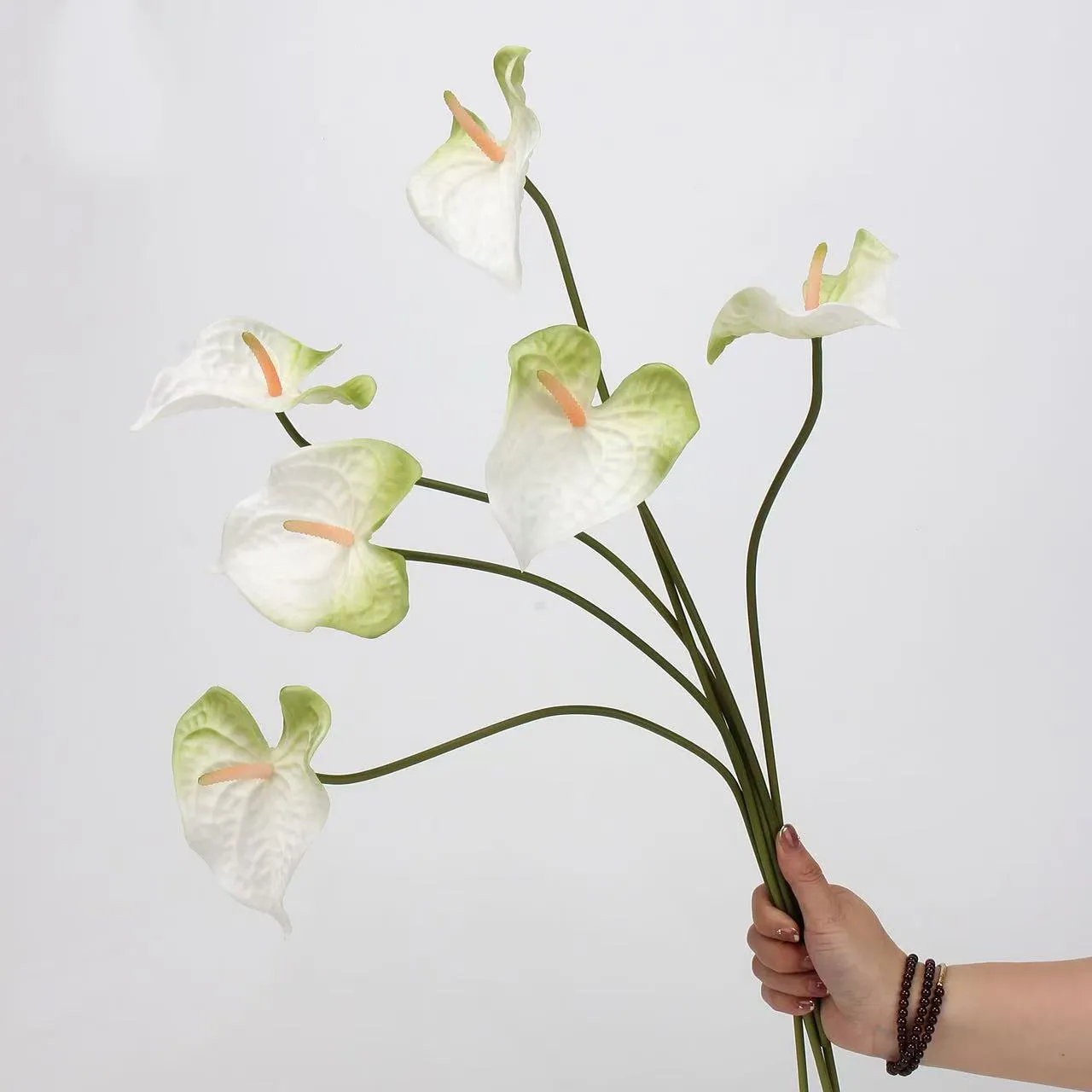 anthurium palm