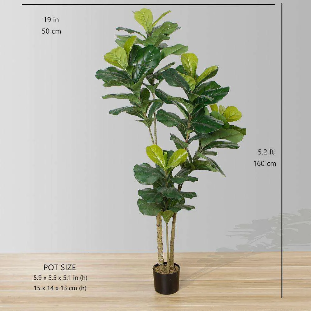 풍부한 인공 바이올린 잎 화분에 식물 (다중 크기)