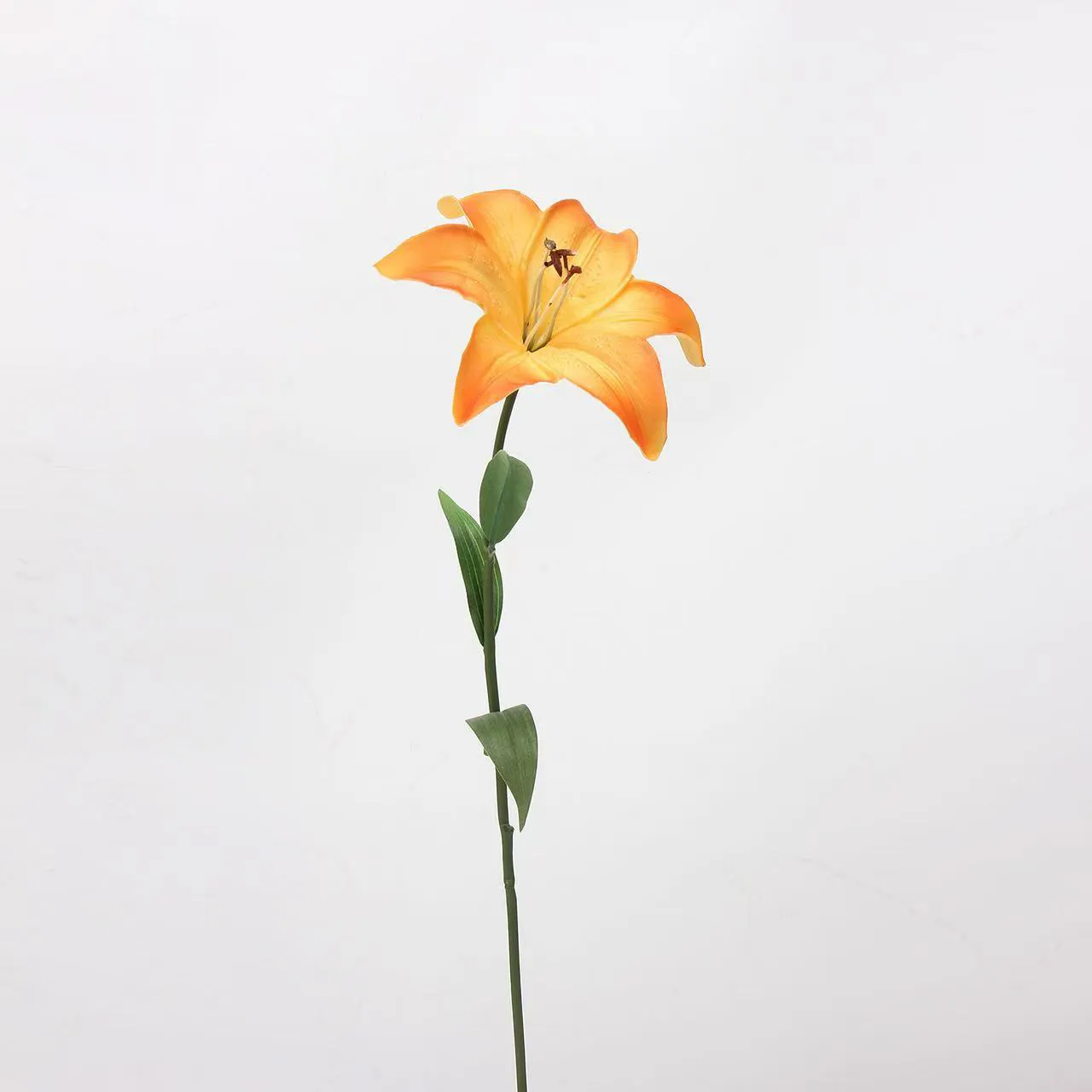 연인 릴리