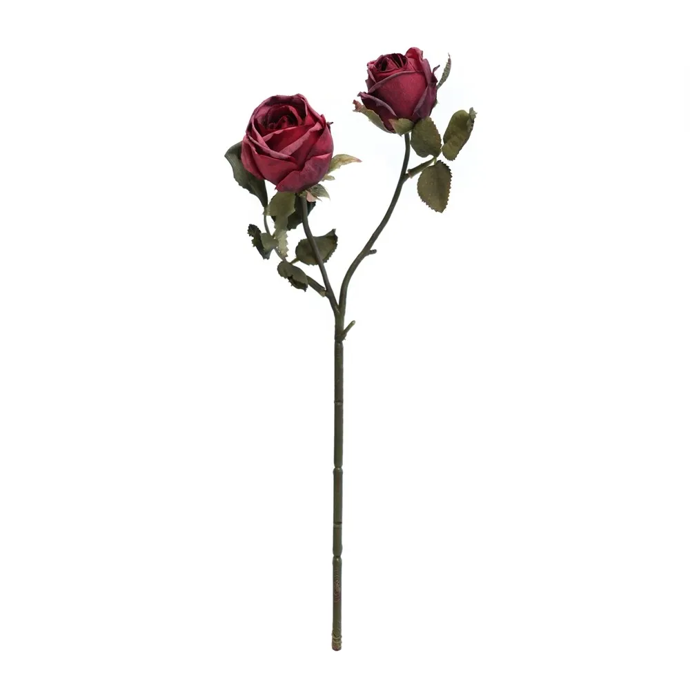 가을 2 금성의 머리