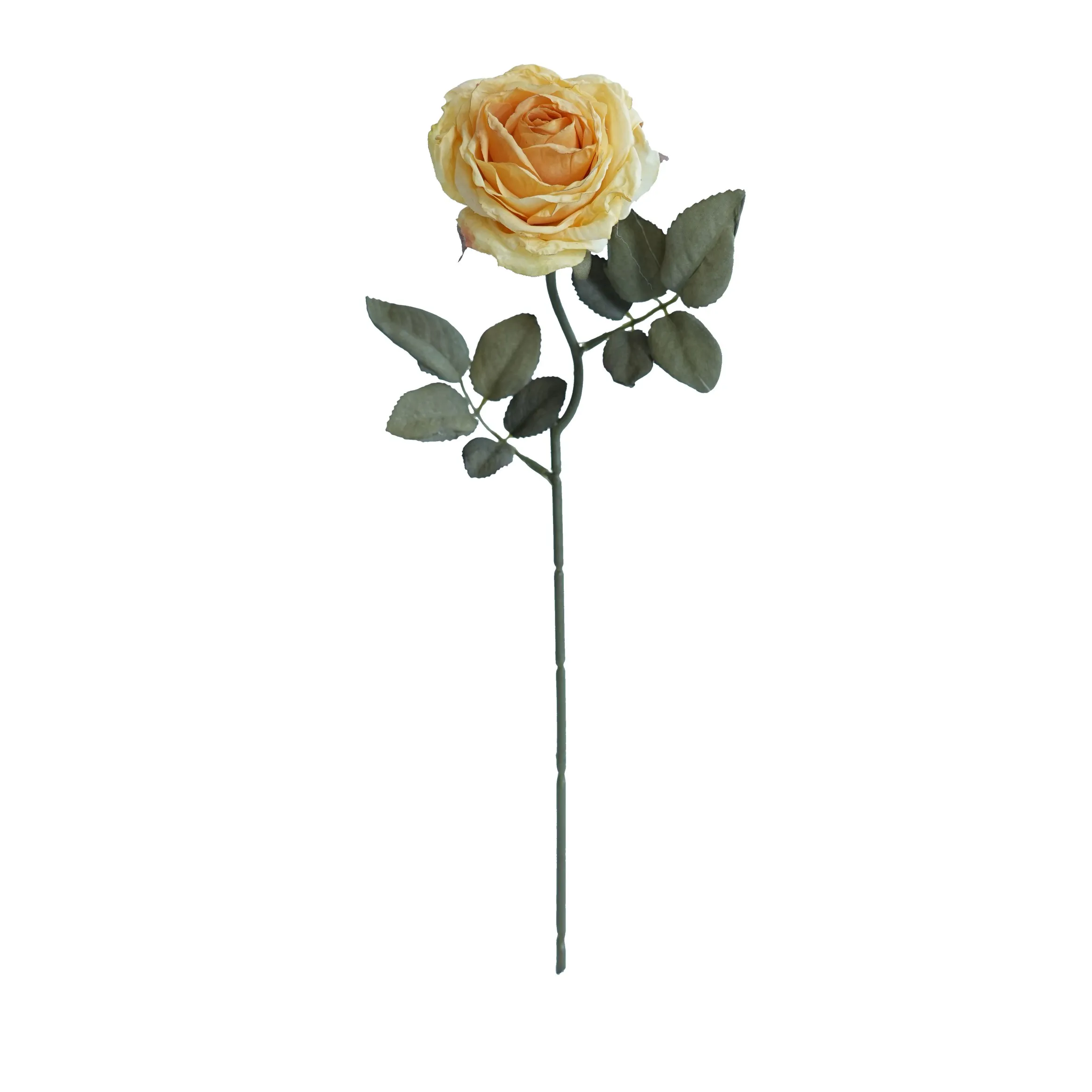 코르크로 된 다층 장미