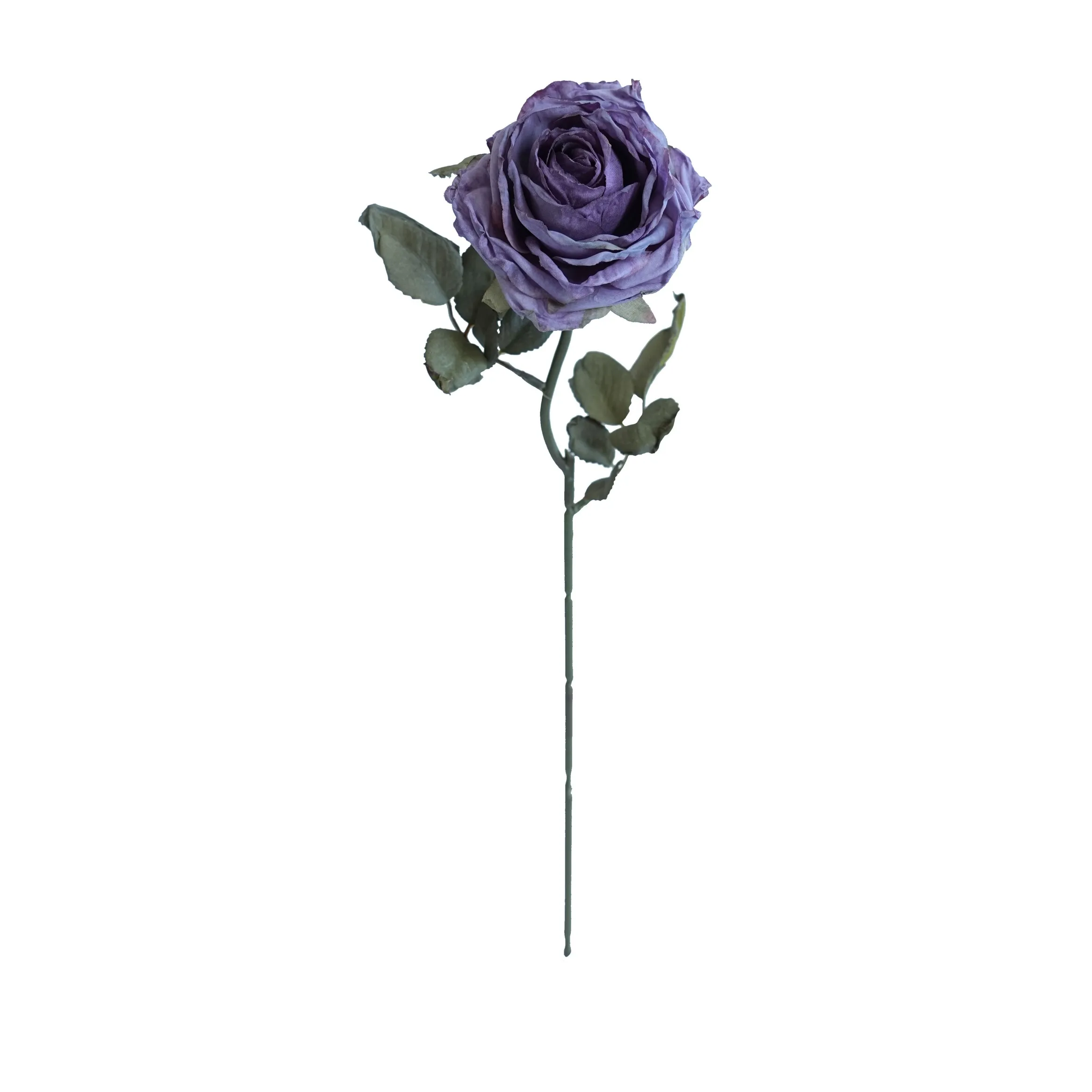 코르크로 된 다층 장미
