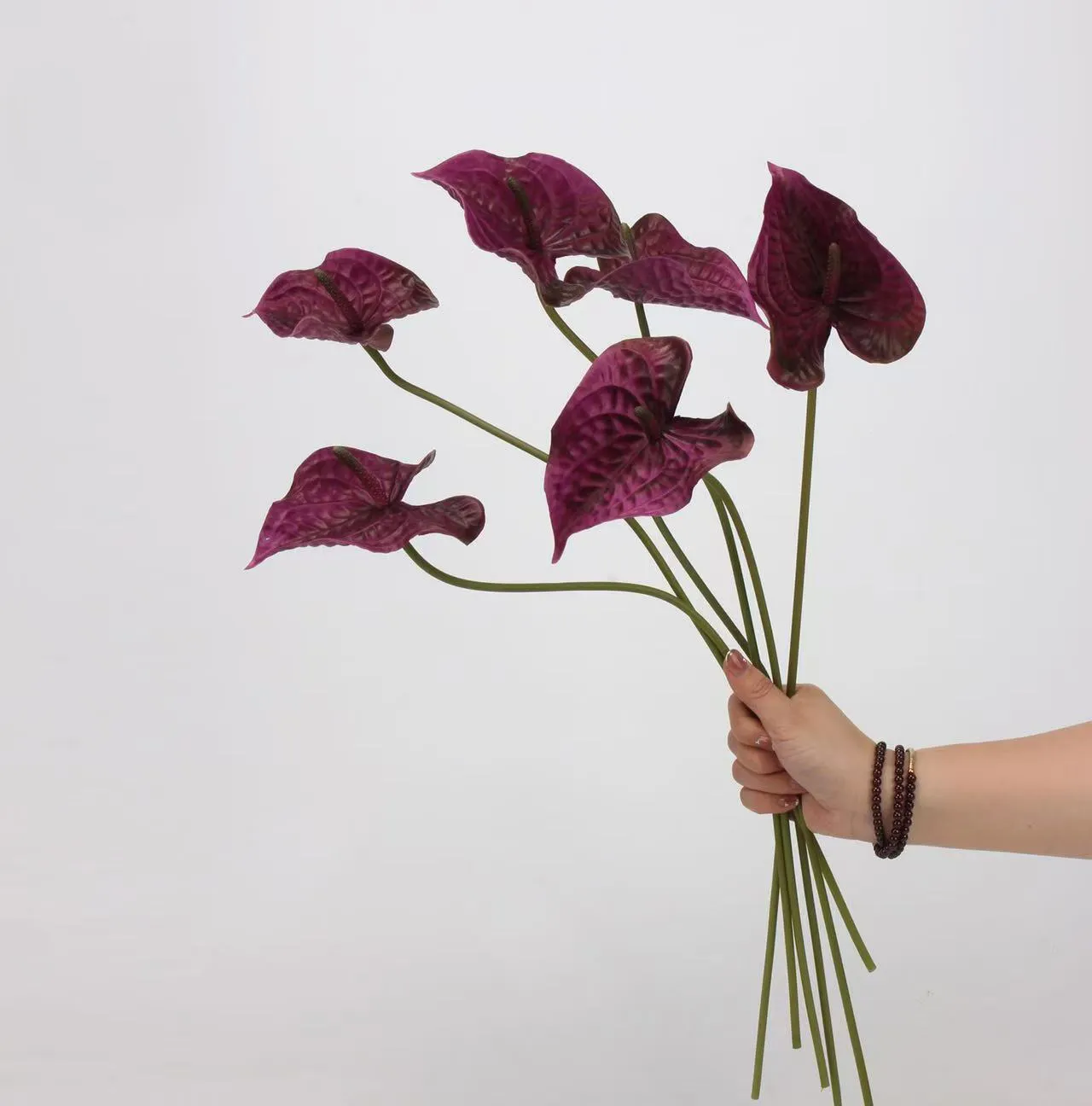 anthurium palm