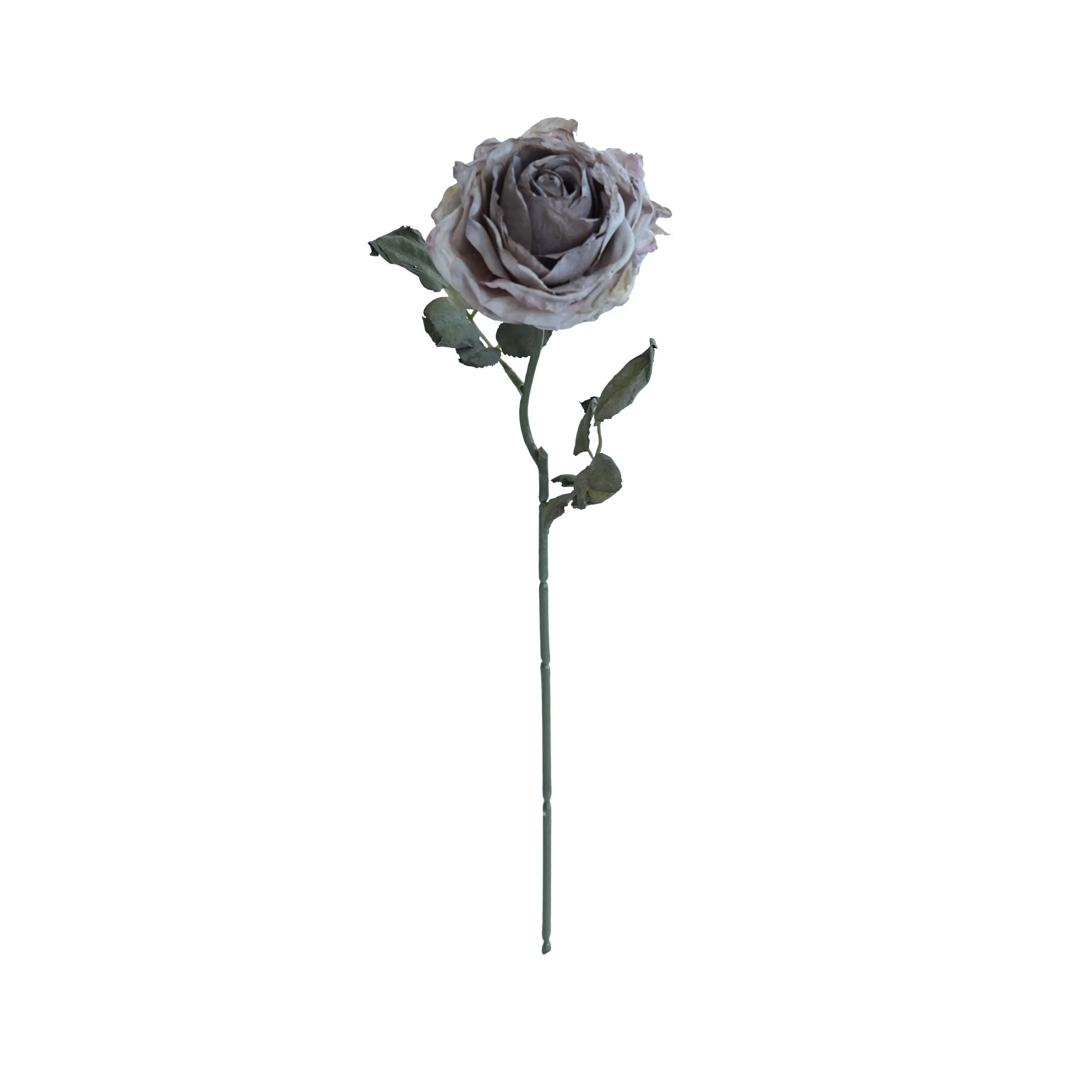 코르크로 된 다층 장미