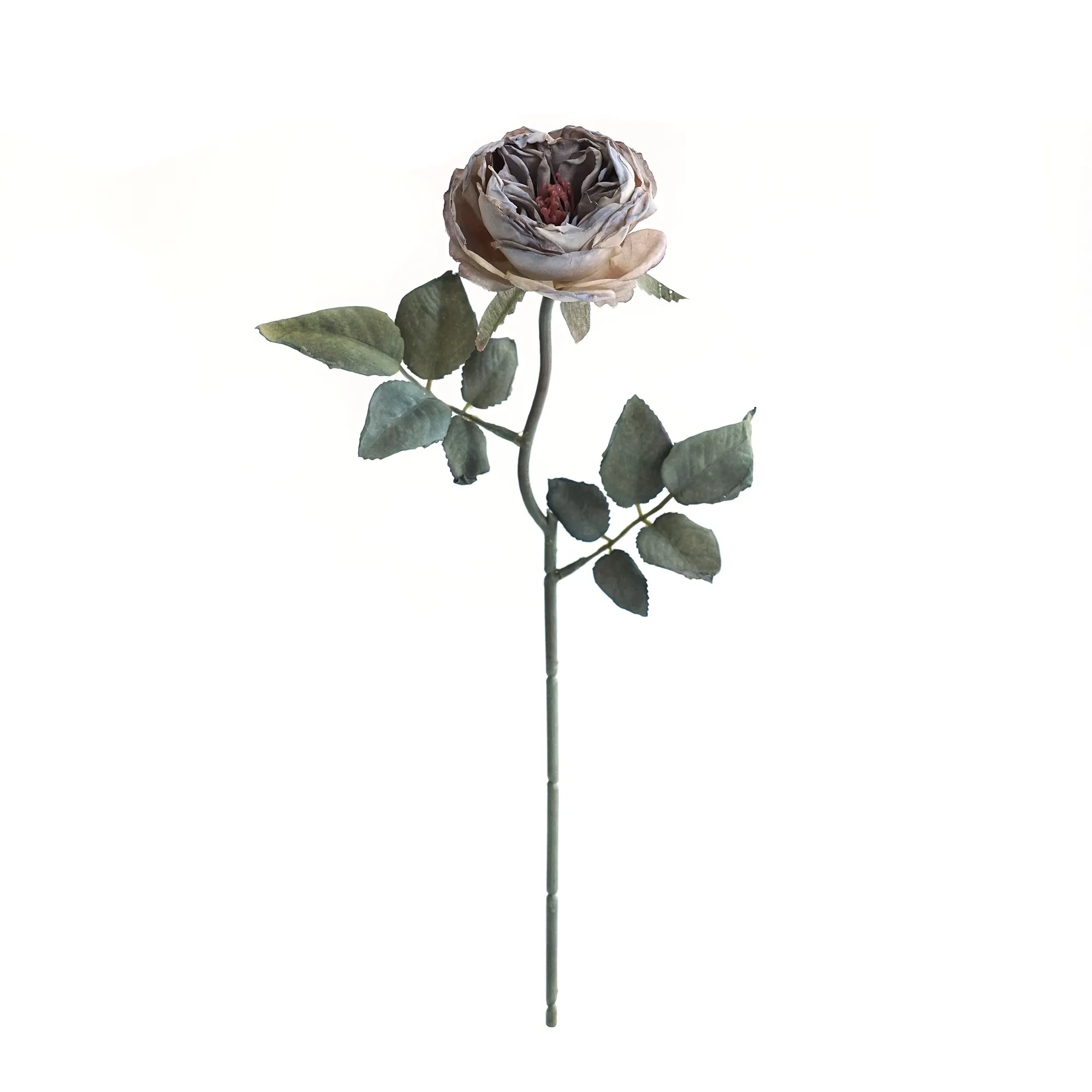 다진 싱글 Oaken