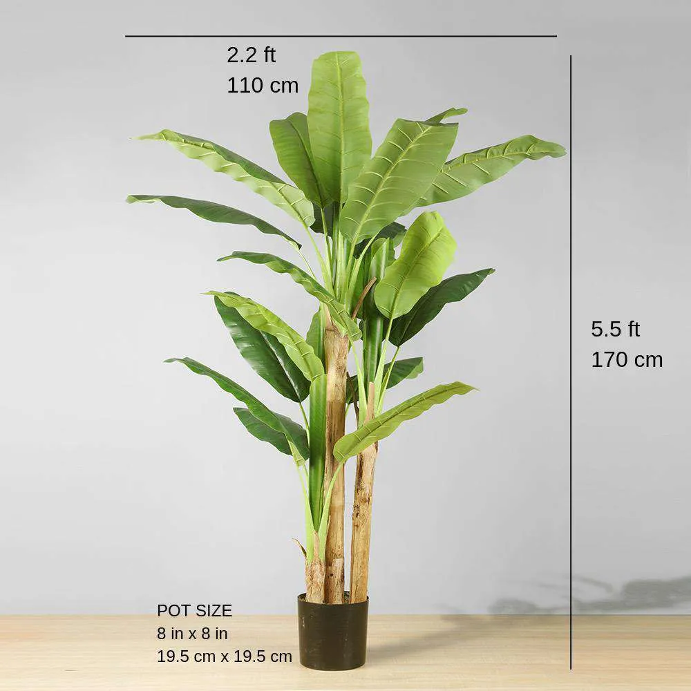 안나 인공 바나나 나무 화분