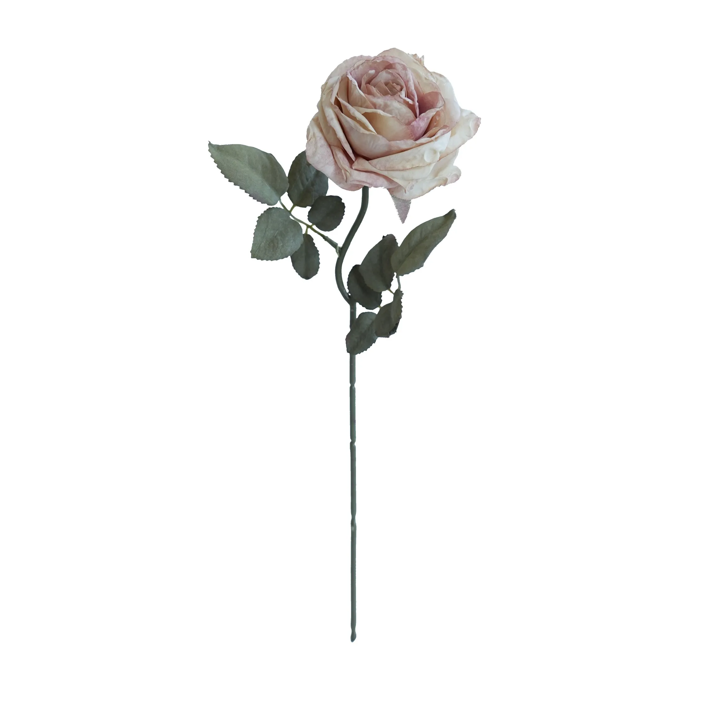 코르크로 된 다층 장미
