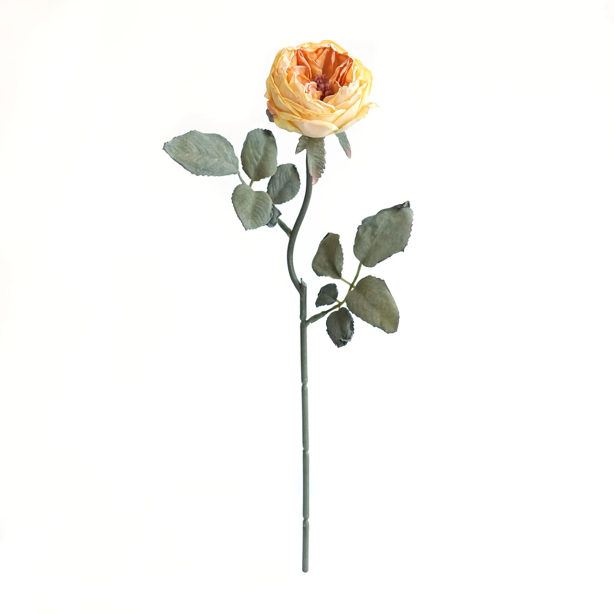 다진 싱글 Oaken