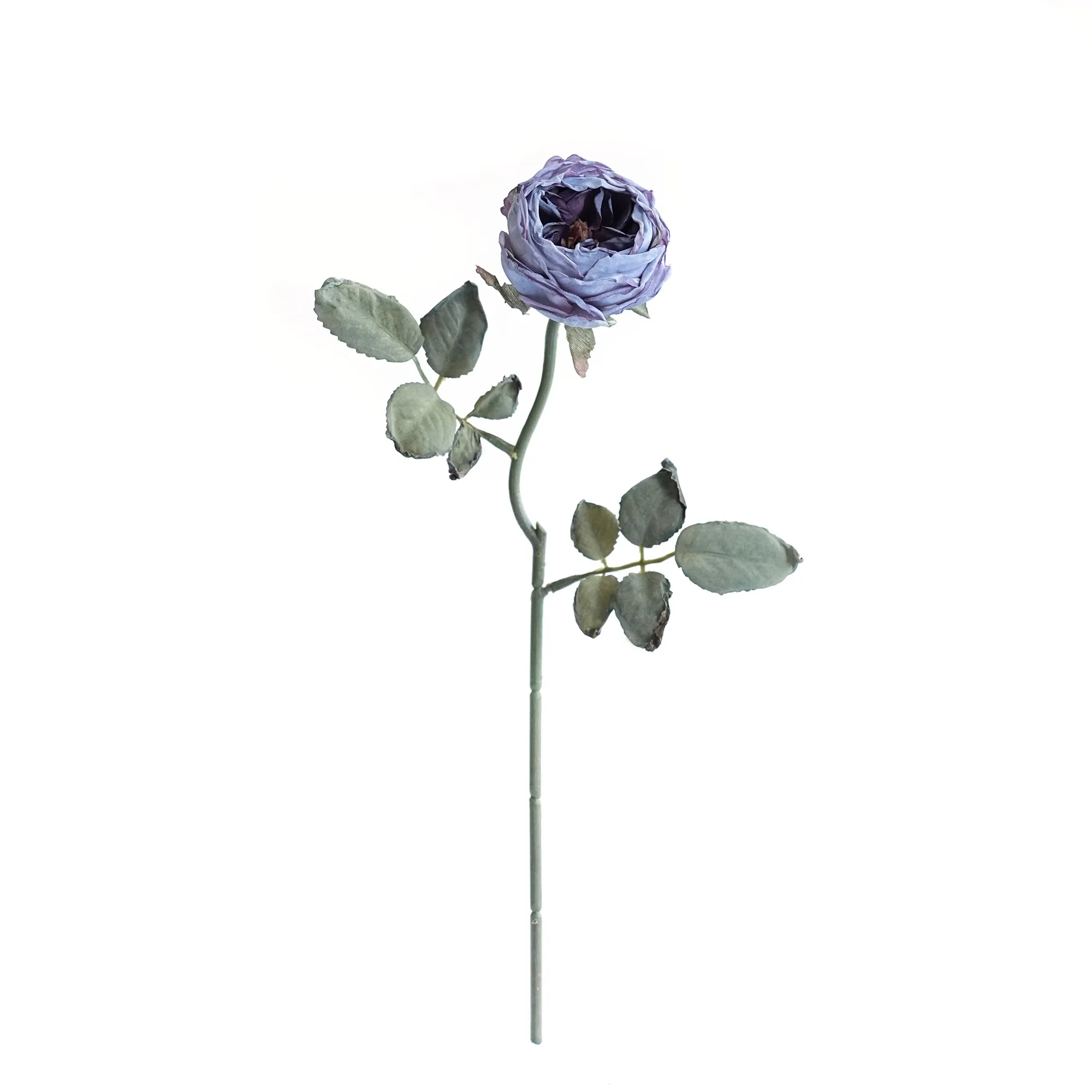 다진 싱글 Oaken