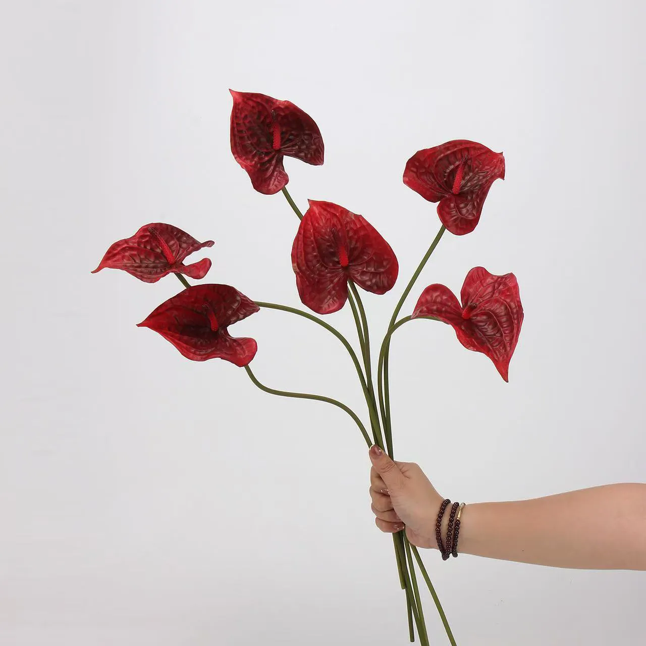 anthurium palm