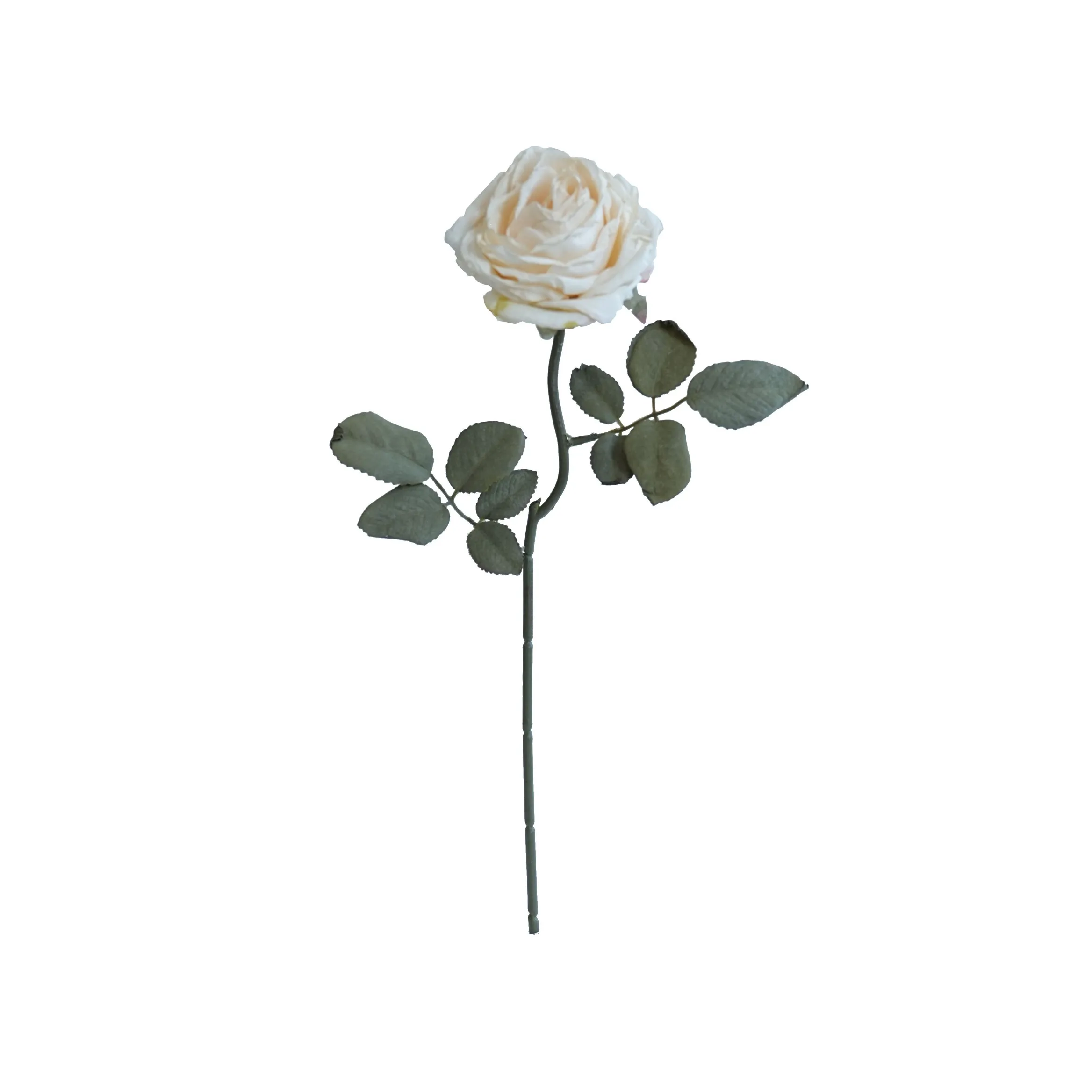 코르크로 된 다층 장미